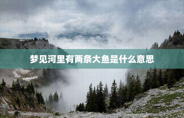梦见河里有两条大鱼是什么意思