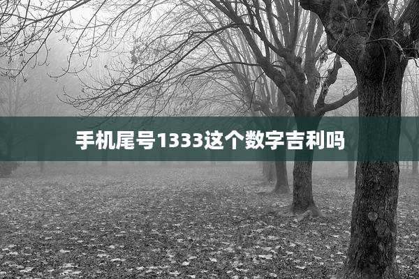 手机尾号1333这个数字吉利吗