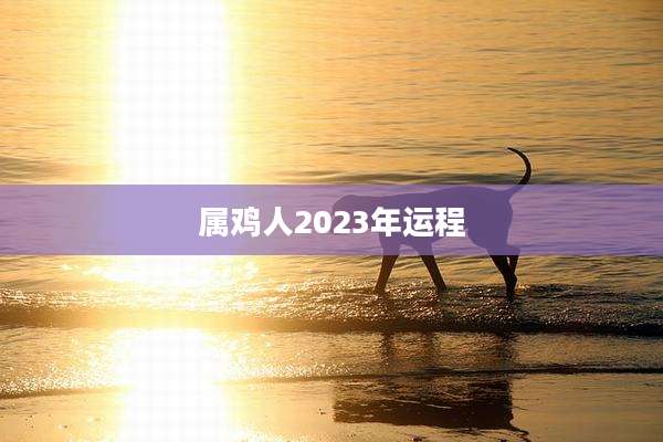 属鸡人2023年运程