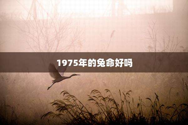 1975年的兔命好吗