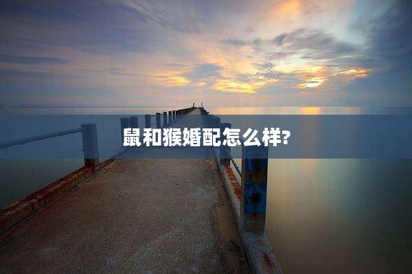 鼠和猴婚配怎么样?