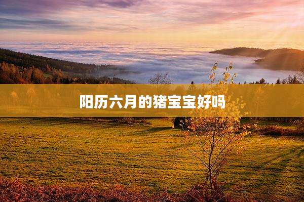 阳历六月的猪宝宝好吗