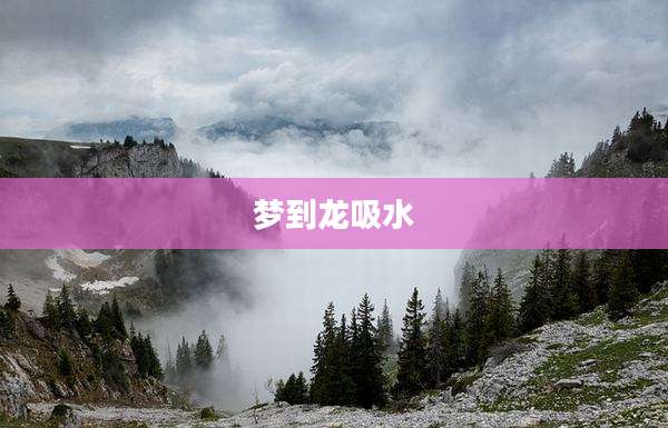 梦到龙吸水