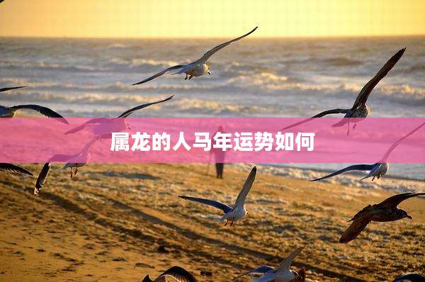 属龙的人马年运势如何