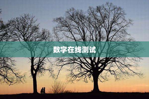 数字在线测试