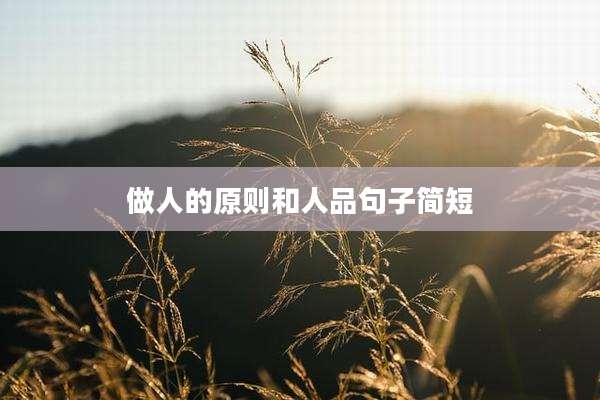 做人的原则和人品句子简短