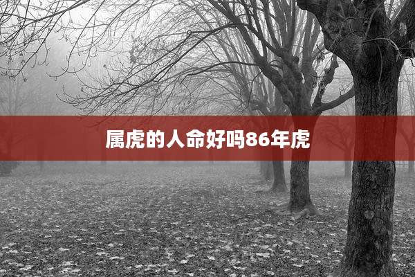 属虎的人命好吗86年虎