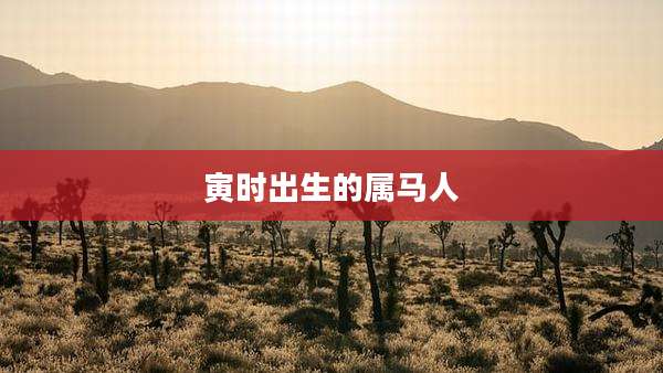 寅时出生的属马人