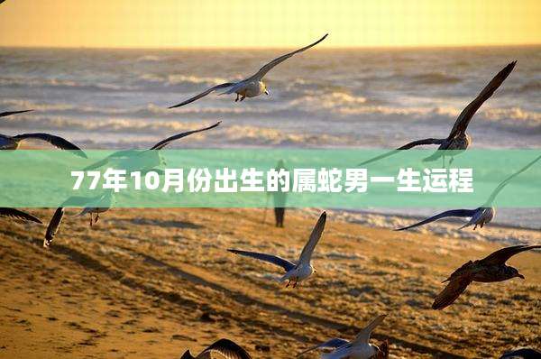77年10月份出生的属蛇男一生运程
