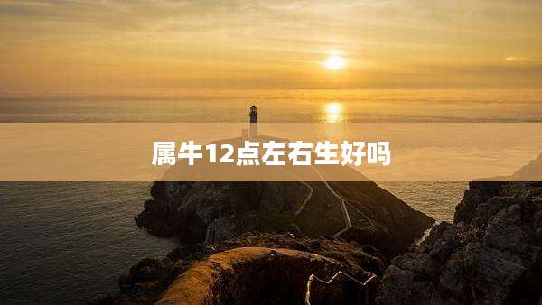 属牛12点左右生好吗