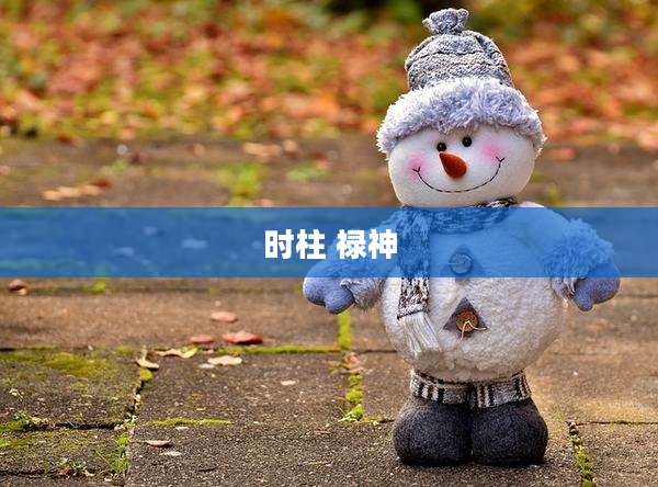 时柱 禄神