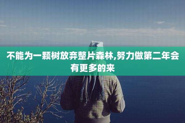 不能为一颗树放弃整片森林,努力做第二年会有更多的来