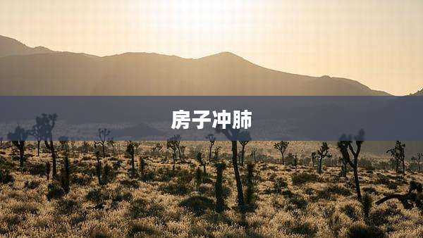 房子冲肺