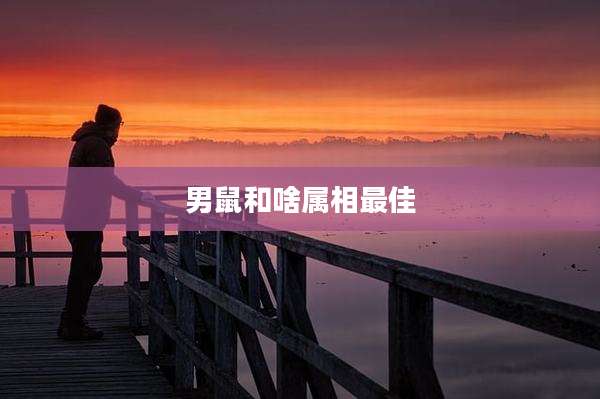 男鼠和啥属相最佳