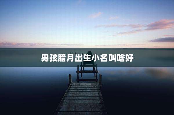 男孩腊月出生小名叫啥好