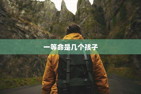 一等命是几个孩子