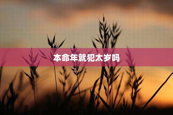 本命年就犯太岁吗