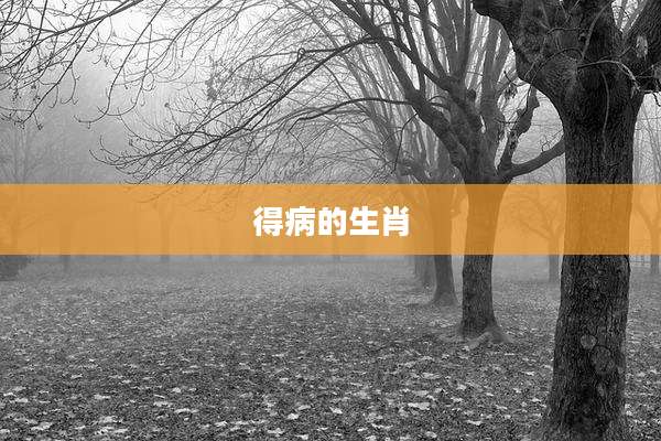 得病的生肖