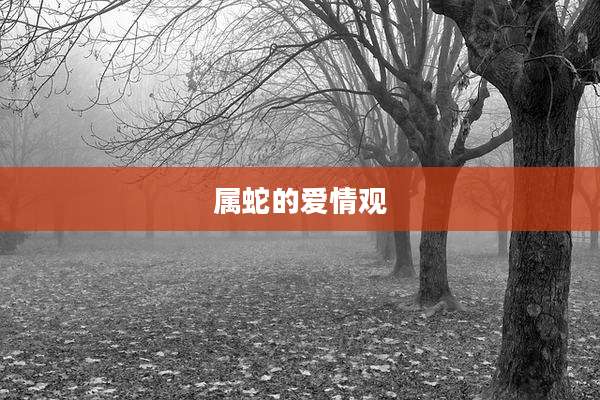 属蛇的爱情观