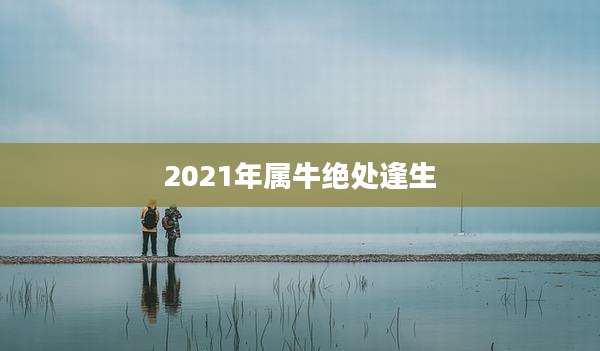 2021年属牛绝处逢生