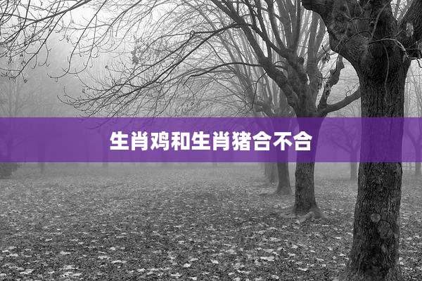 生肖鸡和生肖猪合不合