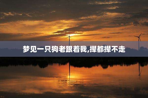 梦见一只狗老跟着我,撵都撵不走