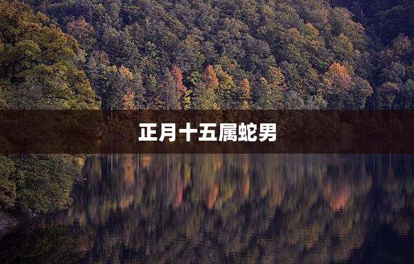 正月十五属蛇男