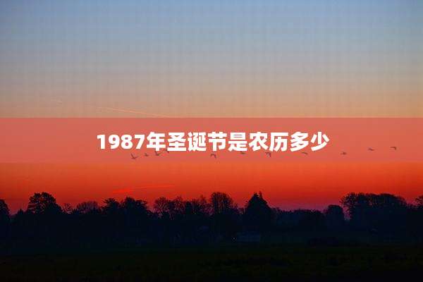 1987年圣诞节是农历多少