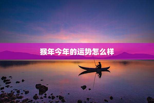 猴年今年的运势怎么样