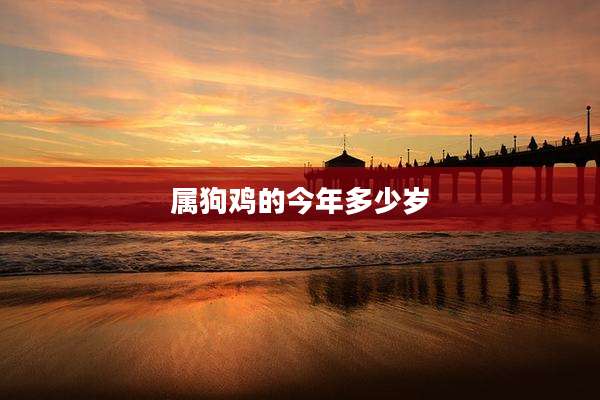 属狗鸡的今年多少岁