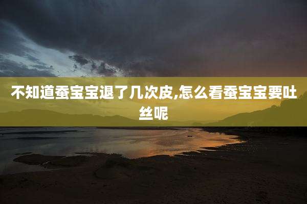 不知道蚕宝宝退了几次皮,怎么看蚕宝宝要吐丝呢