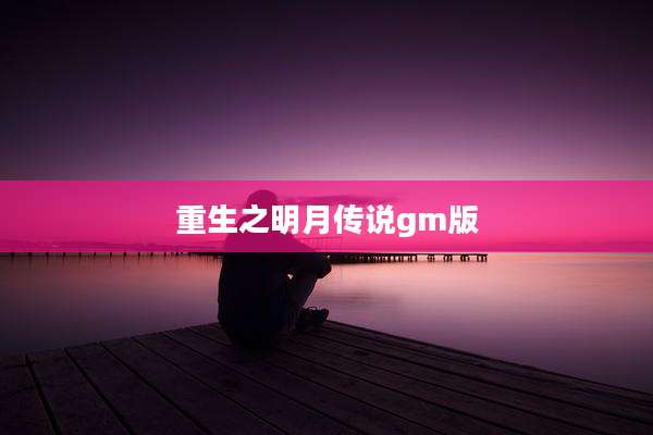 重生之明月传说gm版