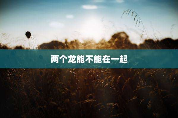 两个龙能不能在一起