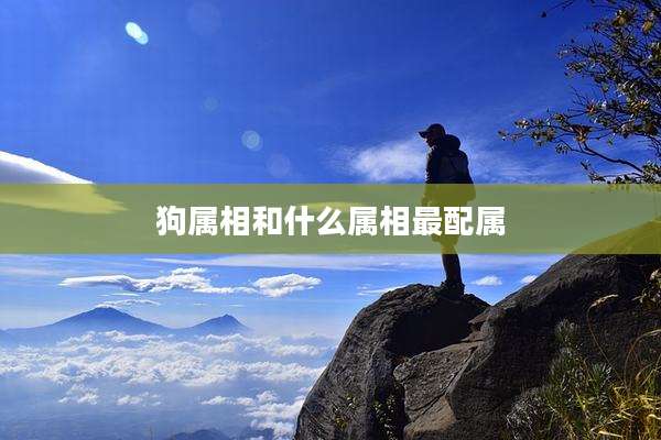 狗属相和什么属相最配属