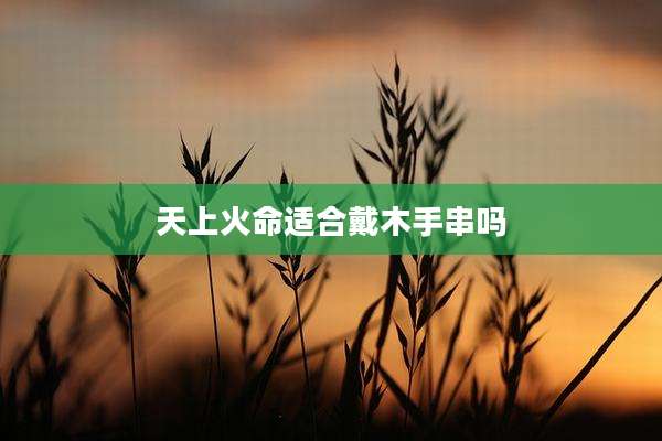 天上火命适合戴木手串吗