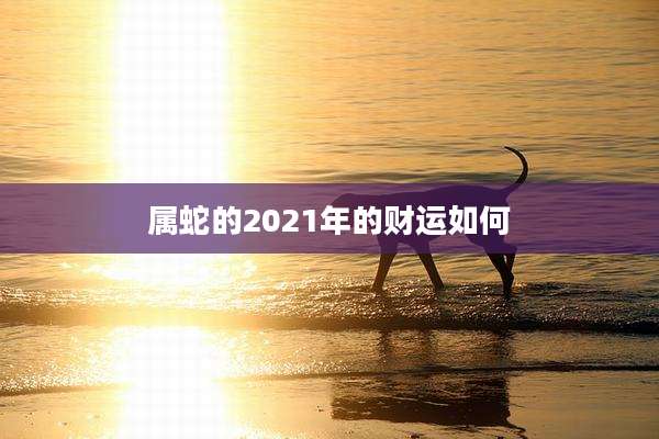 属蛇的2021年的财运如何