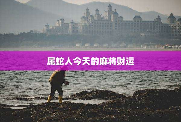 属蛇人今天的麻将财运