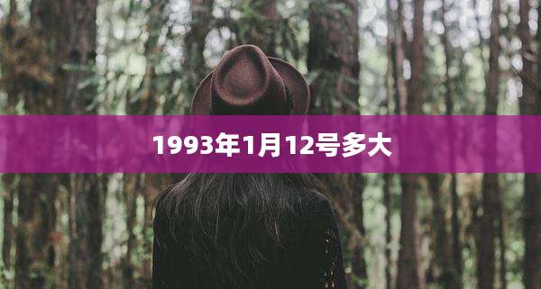1993年1月12号多大