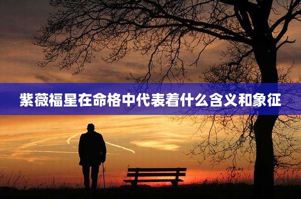 紫薇福星在命格中代表着什么含义和象征