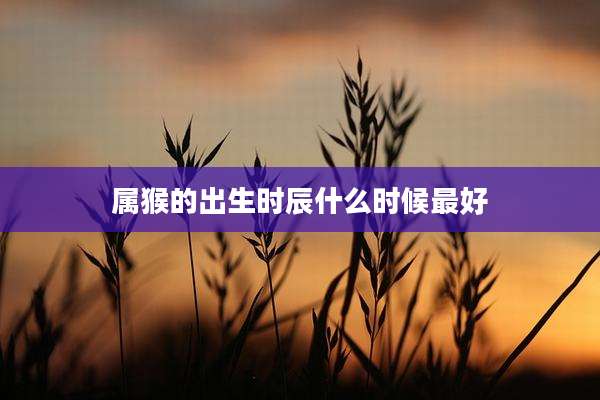 属猴的出生时辰什么时候最好