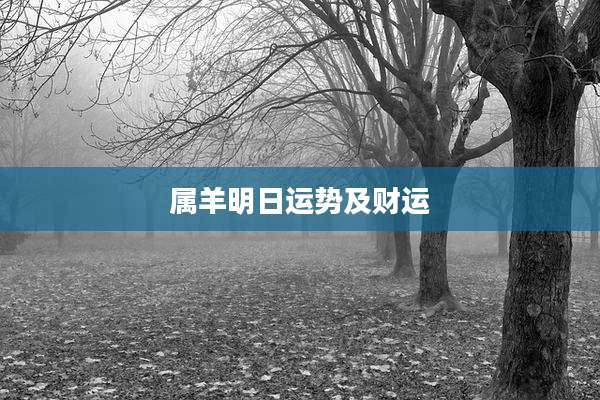 属羊明日运势及财运