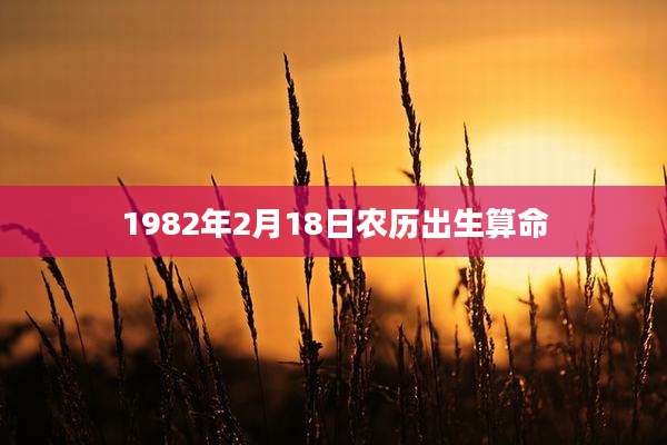 1982年2月18日农历出生算命