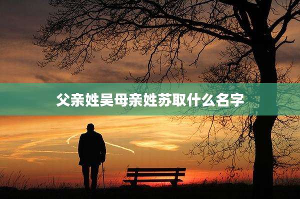 父亲姓吴母亲姓苏取什么名字