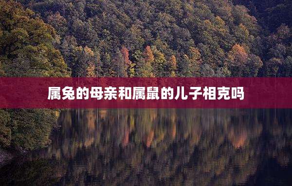 属兔的母亲和属鼠的儿子相克吗