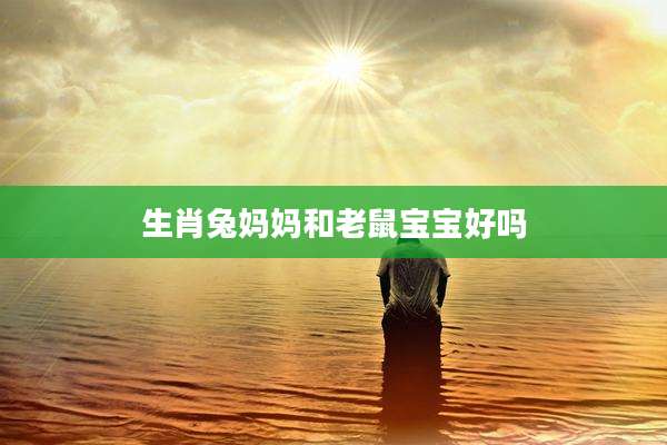 生肖兔妈妈和老鼠宝宝好吗