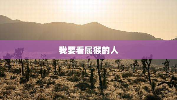 我要看属猴的人