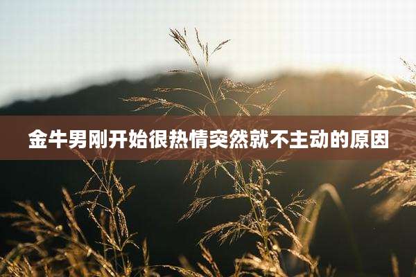 金牛男刚开始很热情突然就不主动的原因