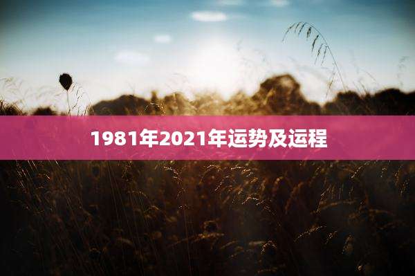 1981年2021年运势及运程