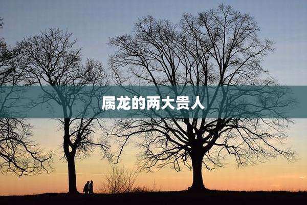 属龙的两大贵人