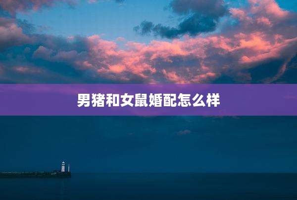 男猪和女鼠婚配怎么样